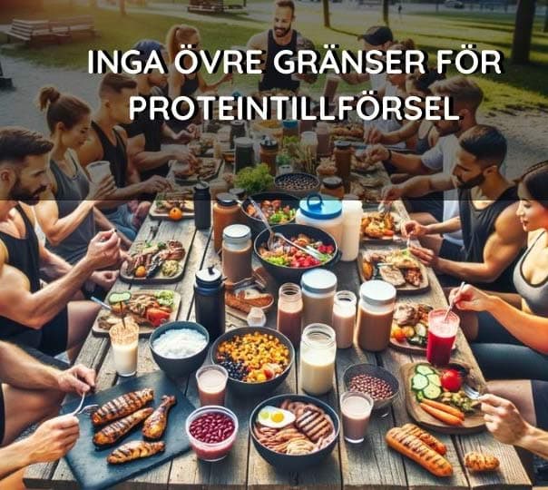 Nya Rön: Inga Övre Gränser för Proteintillförsel