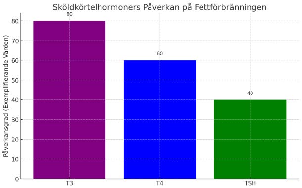 sköldkörtelhormonets påverkan på fettförbränningen