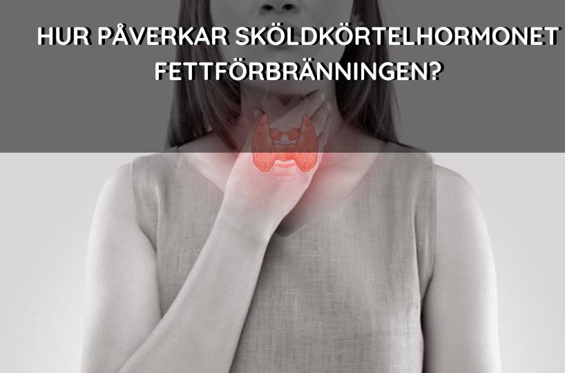 sköldkortelhormonet fettförbranning